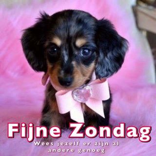 Profile Picture of Peter Netten (@peter.netten.142) on Facebook