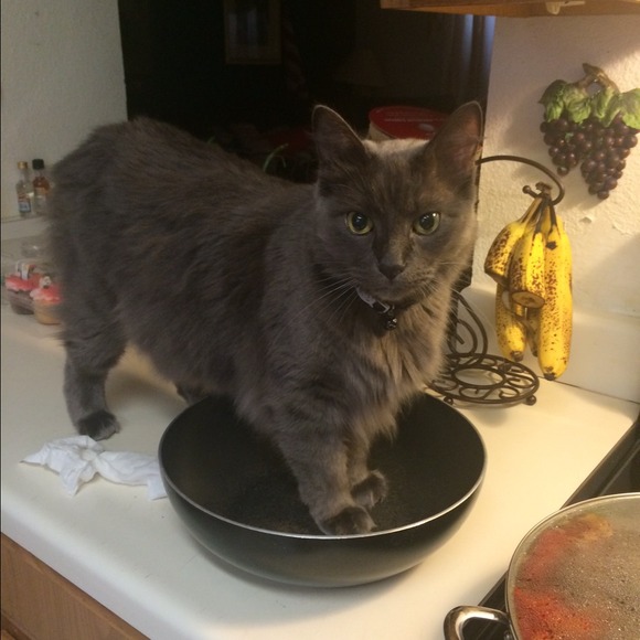 Profile Picture of L Z (@leapy) on Poshmark