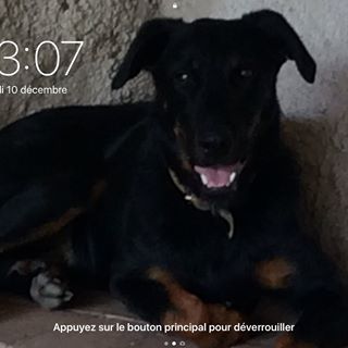 Profile Picture of Joelle Bayard (@joelle.bayard.75) on Facebook