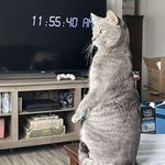 Randy Tilley - Instagram Profile Picture of Randy Tilley (@tilley2348) on Instagram