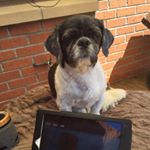 Profile Picture of Carol Carlton (@cazkiss2018) on Instagram