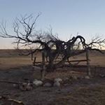 Profile Picture of Kevin McEvoy (@mcevoy.k) on Instagram