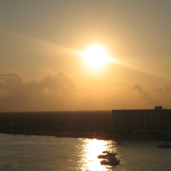 Profile Picture of Joanne Ionno (@joshopping1) on Poshmark