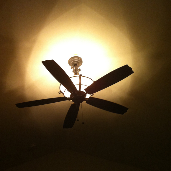 Profile Picture of J Bailey (@junicle) on Poshmark