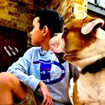 Profile Picture of 🤡SHORT BOii🤡 (@matthew_warneke) on Instagram