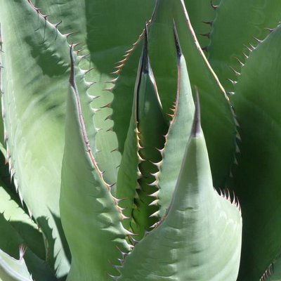 Profile Picture of Antony Dodd (@ant_dodd) on Twitter