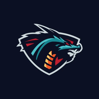 Profile Picture of Max 🐉 (@CNameEcho) on Twitter