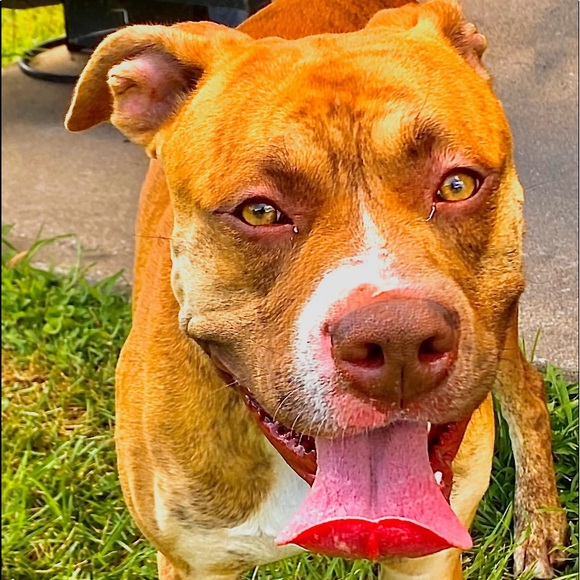 Matthew Kinsella - Poshmark Profile Picture of Matthew Kinsella (@mzanek1) on Poshmark