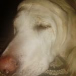 Profile Picture of Ryder James gensch (@ryderjamesgensch) on Instagram