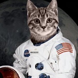 Profile Picture of Dawn Haskin (@HellCatF6F) on Twitter