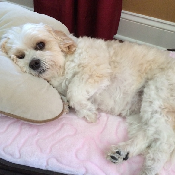 Profile Picture of Michele Closky (@closkym) on Poshmark