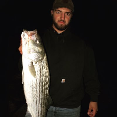 Profile Picture of Michael Ioannides (@MikIoannides) on Twitter