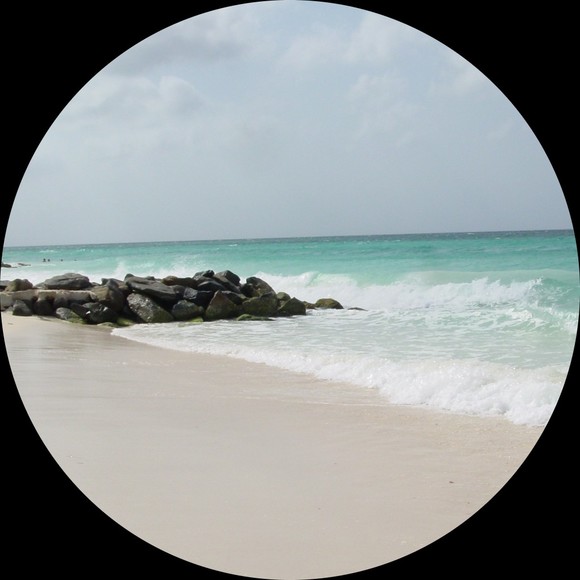 Profile Picture of Janis Chamberlin (@jlchamberlin1) on Poshmark