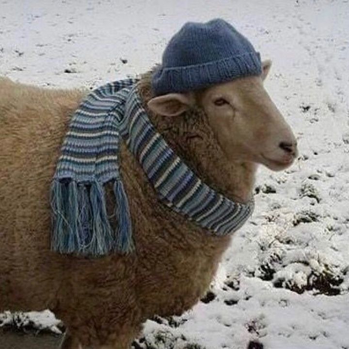 Profile Picture of lance (@lance.steiner) on Tiktok