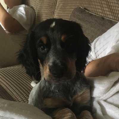 Profile Picture of Mark Graeme Smeaton (@Blakey796) on Twitter