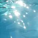 Profile Picture of Kylee Andresen (@Kyleeandresen) on Pinterest