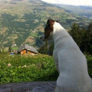 Profile Picture of JARRET JEAN-FRANCOIS (@JEFF730002) on Twitter