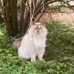 Profile Picture of Mellody Clark (@mellody.clark.2025) on Facebook