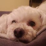 Profile Picture of Sean Thiele (@kingsean1208) on Instagram