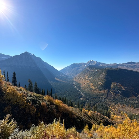 Profile Picture of David Gilmore (@djgilmore) on Poshmark