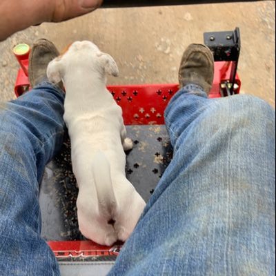 Jason Bagby - Twitter Profile Picture of Jason Bagby (@jasonbagby7) on Twitter