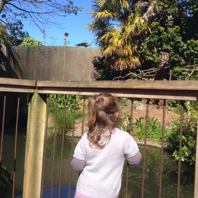 Profile Picture of Michael Conza (@conza_michael) on Twitter
