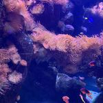 k e n z - Instagram Profile Picture of k e n z (@makenzie.ducat) on Instagram