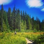 Profile Picture of Jacqueline Walsh-Zumar (@jaxzumar) on Instagram