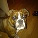 Profile Picture of Jordan Weigand (@jordanweigand) on Pinterest