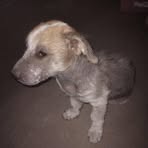 Profile Picture of Silvia Chaparro (@Silvia-Chaparro) on Facebook