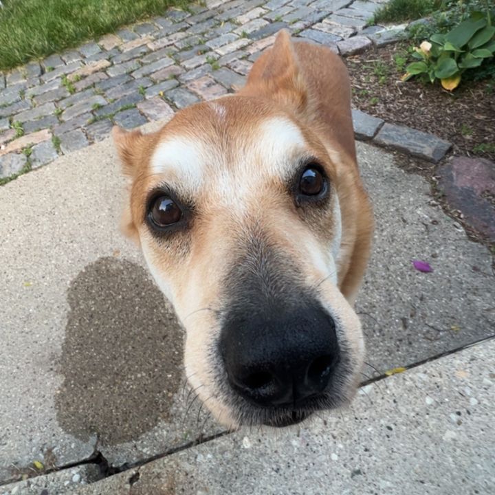 Profile Picture of Will Clements (@will_513499) on Tiktok