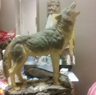 Profile Picture of Wayne Last (@wayne.last.923) on Facebook