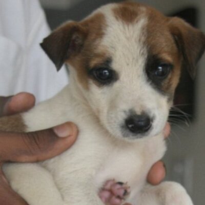 Riley Maggie Judge - Twitter Profile Picture of Riley Maggie Judge (@Riley_Mag11) on Twitter