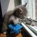 Profile Picture of Matthias Hasenpusch (@matthias.hasenpusch.56) on Facebook