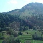 Profile Picture of Mihai Bud (@cicioioandanut) on Instagram