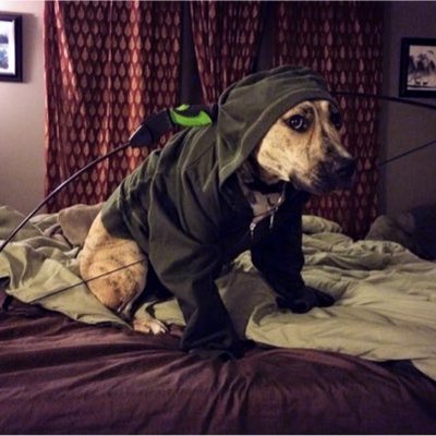 Profile Picture of A Bautista (@AmyMazurek) on Twitter
