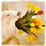Profile Picture of Adam Metzger (@chester_coffeepot) on Instagram