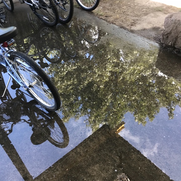 Profile Picture of Miri Leaderman (@mirilb) on Poshmark