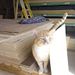 Profile Picture of Kevin Flatt (@kevinflatt1971) on Pinterest