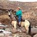 Profile Picture of Jimmy Giesel (@jimmygiesel) on Pinterest