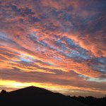 Profile Picture of Jeremy Millard (@jezmillard83) on Instagram