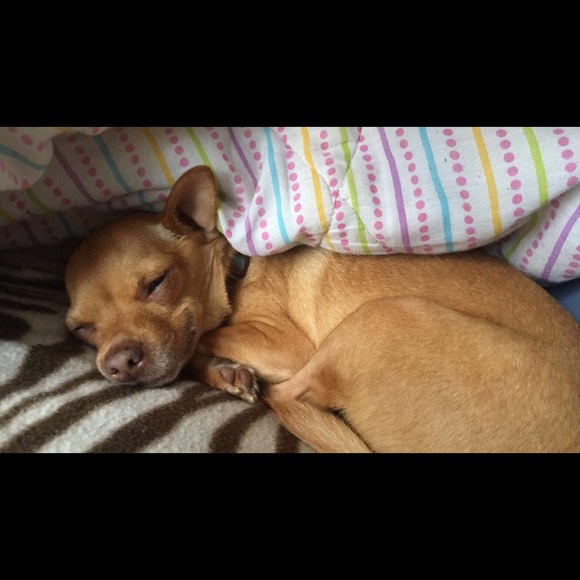 Profile Picture of Morghan Jauch (@mjauch) on Poshmark