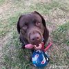 Profile Picture of Caedan Stringer (@caedan.stringer) on Tiktok