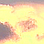 Profile Picture of Roslyn Graham Tyuse (@roslyntyuse1979) on Flickr