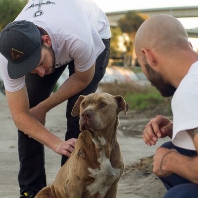 Profile Picture of Greg Custer (@Grillmastagreg) on Twitter