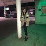 Nina Yung O'Connor - Instagram Profile Picture of Nina Yung O'Connor (@spamwithnina) on Instagram
