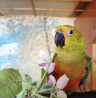 Profile Picture of Adam Havlicek (@Adam-Havlicek) on Facebook