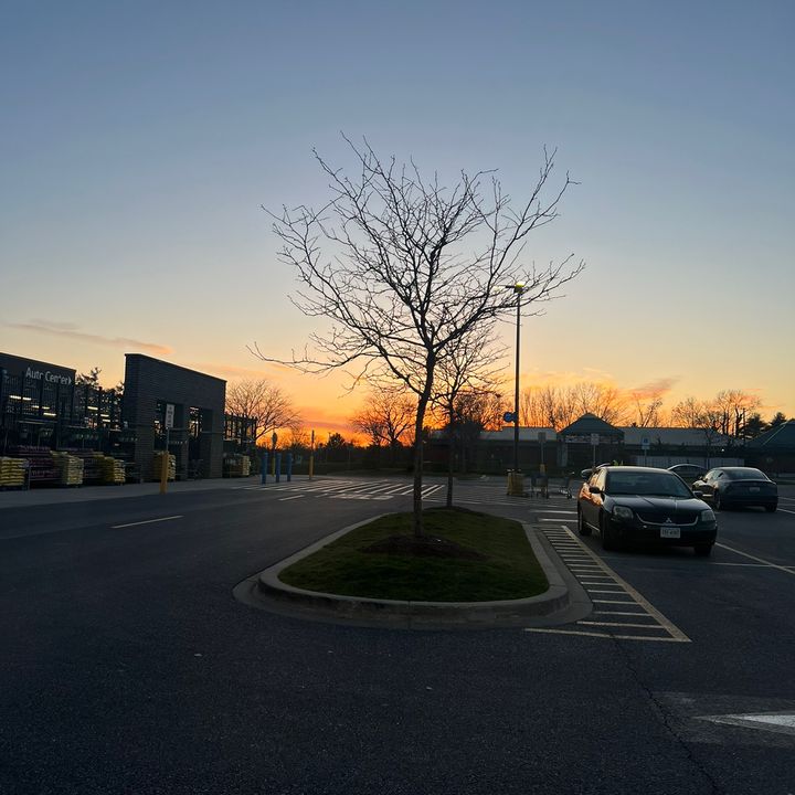 Kaylee - Tiktok Profile Picture of Kaylee (@kayleecolson) on Tiktok