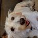 Profile Picture of Steve Secord (@steve.secord.92) on Facebook
