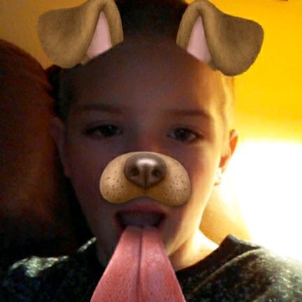 Profile Picture of chase_baldwin (@chase_the_huskeylover) on Tiktok